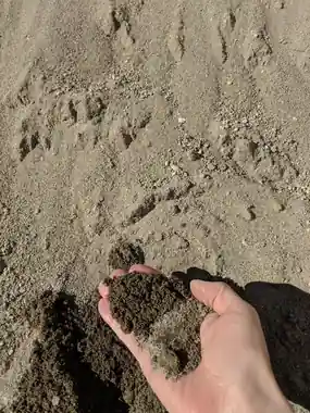 Fine unwashed mason sand in a hand