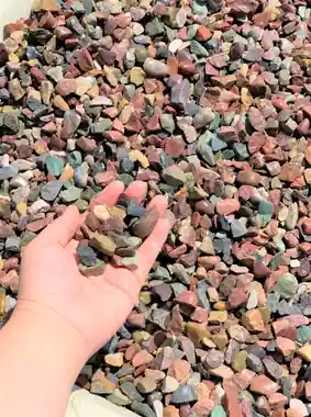3/4 rainbow chip in a hand