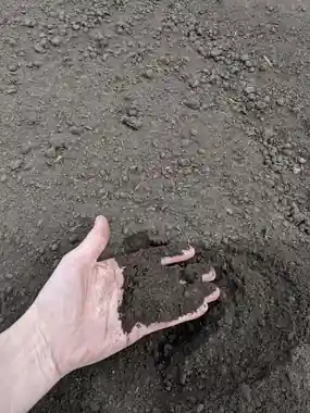 Topsoil, Compost or Potting Soil: What to Put in a New Garden Bed